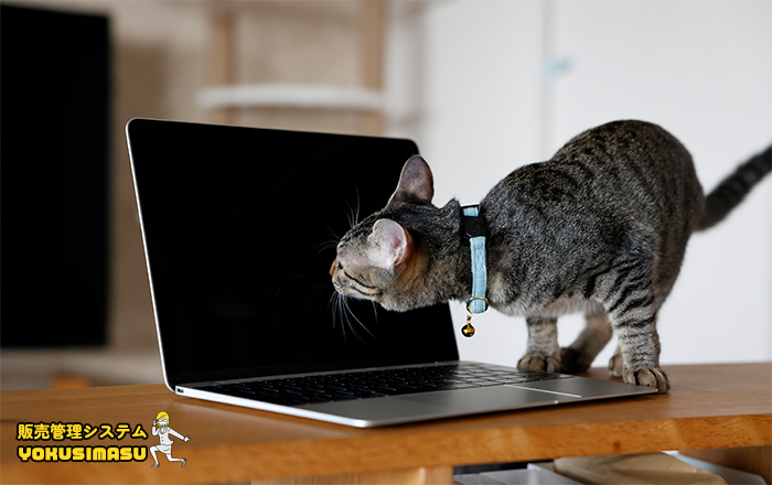 猫がPCの電源ボタンを押してしまいPC画面が真っ暗に「販売管理システムYOKUSIMASU」