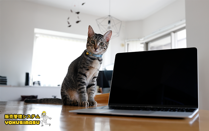 猫がPCの電源ボタンを押してしまいPC画面が真っ暗に「販売管理システムYOKUSIMASU」