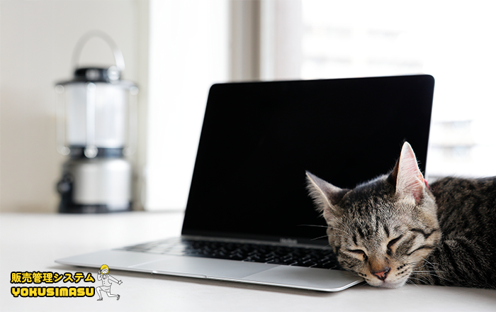 PCがある机に寝てる猫